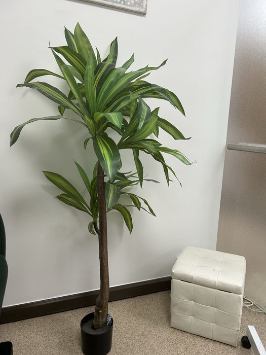 Árvores decorativas – 2 unidades