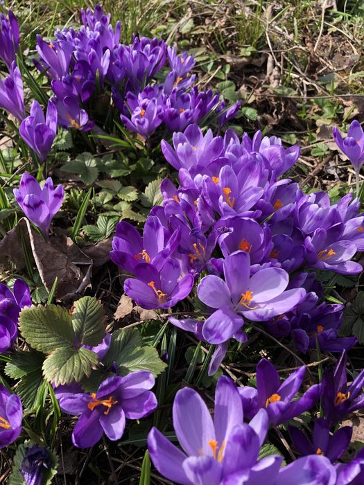 Продається Будинок,є рибник,поруч гори,красива природа