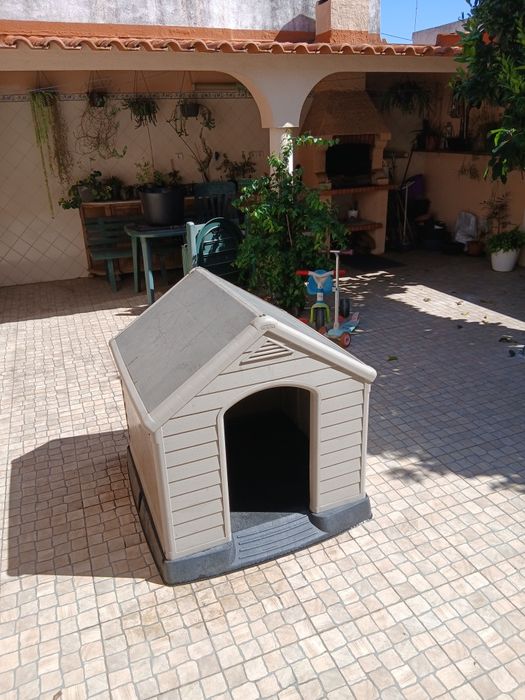 Casota cão grande
