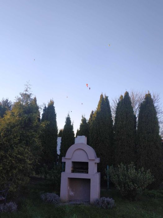 Działka rekreacyjna ROD - Widok 6