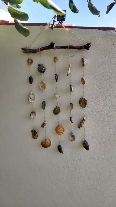 Seashell dreamcacher