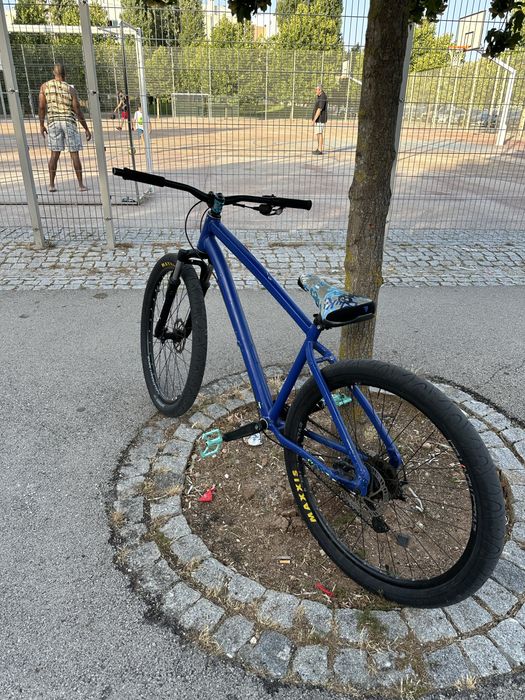 Bicicleta para grau