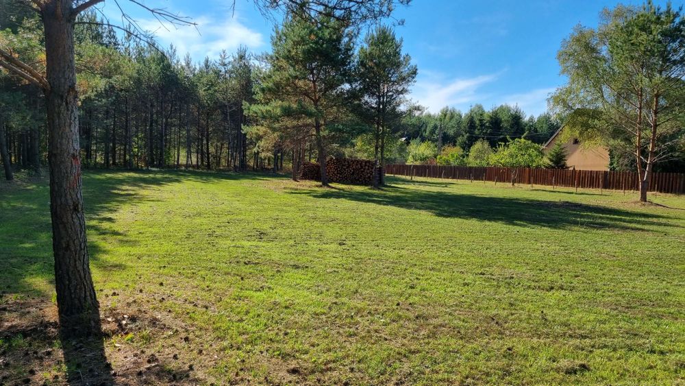 Działka siedliskowa z warunkami zabudowy Mazury