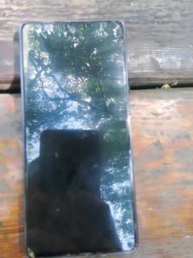 Самсунг с20 фе бу