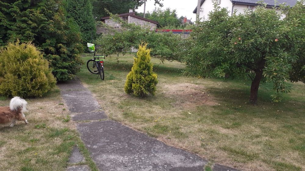 Dom 35 km od Warszawy