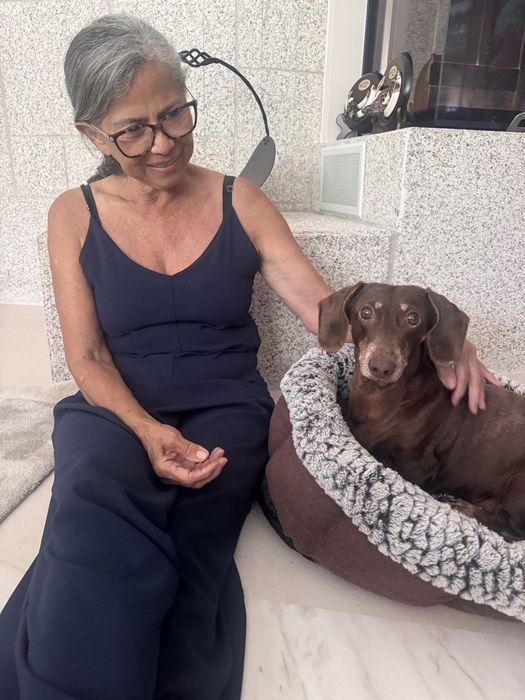 Hospedagem e passeios para cães.