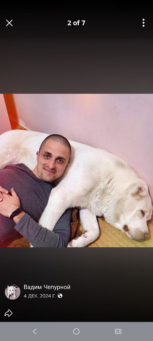 Обманщик и вор! Чепурной Вадим