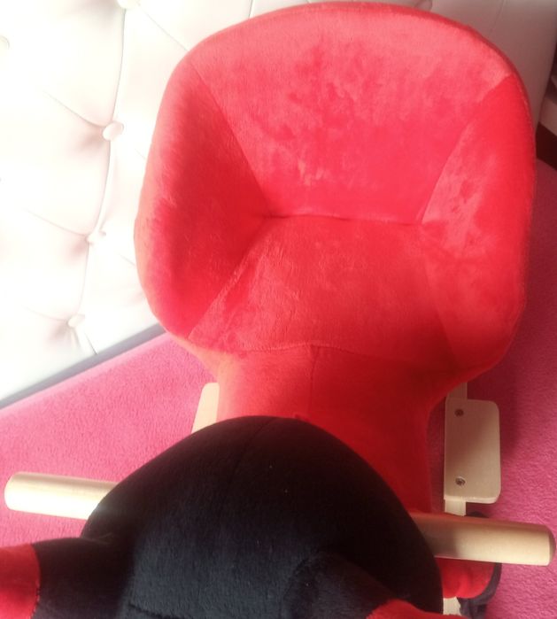 Biedronka na biegunach. Bujaczek