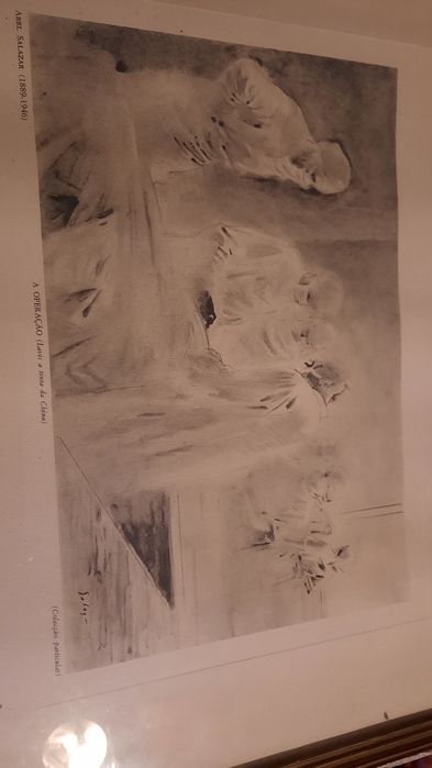 Reprodução Abel Salazar - A operação