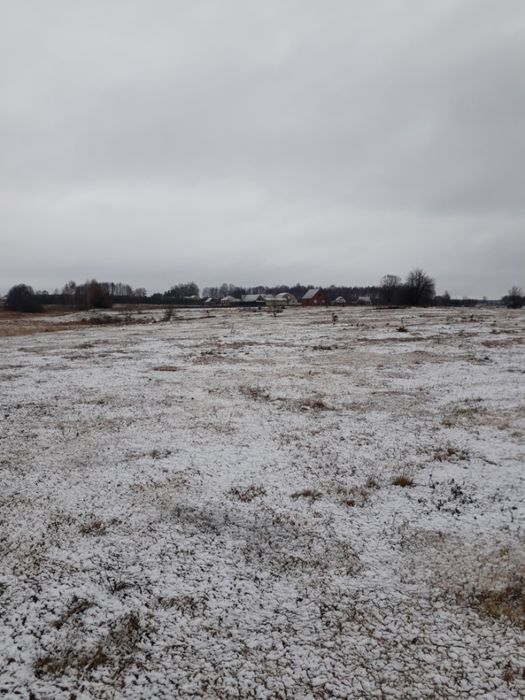 Земельный участок 0.25 га в с. Воля, Волынская область.