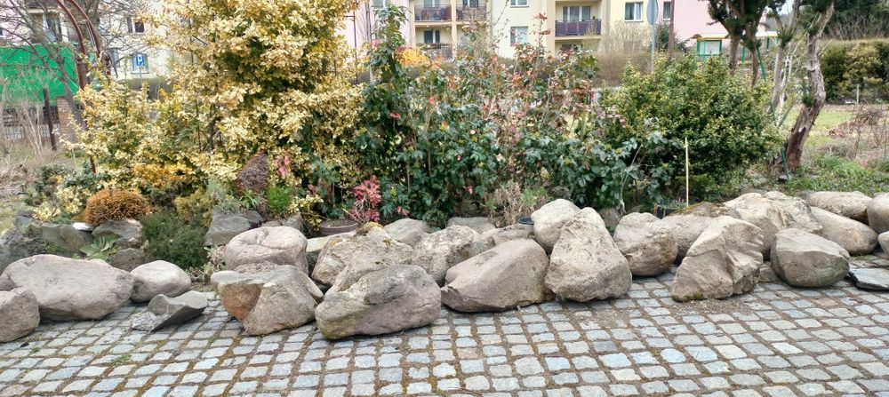 Kamienie z rozbiórki skalniaka oddam za darmo.