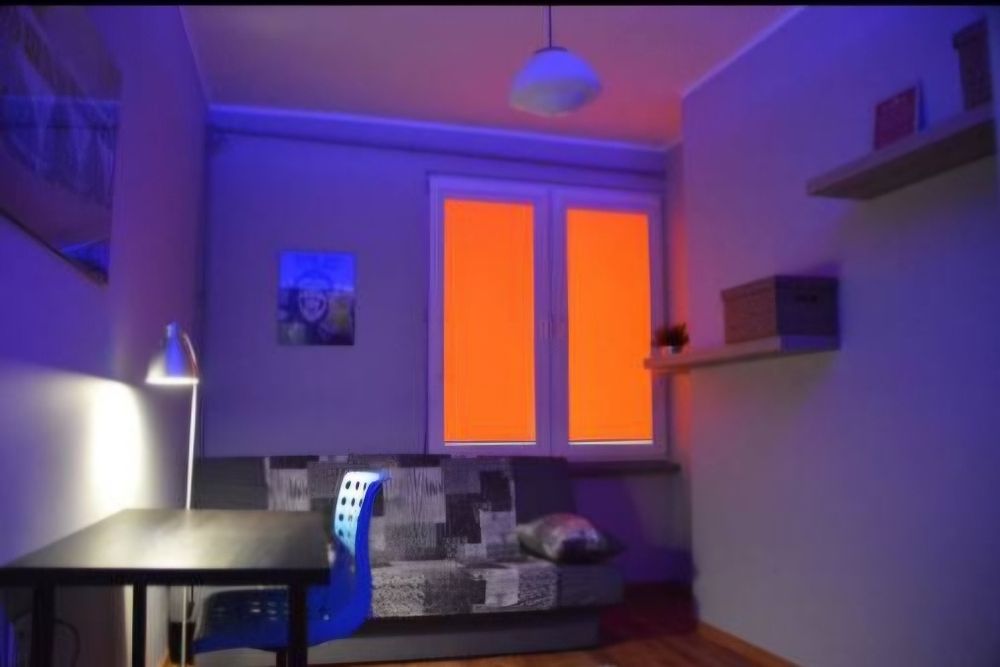 Zdjęcie 8