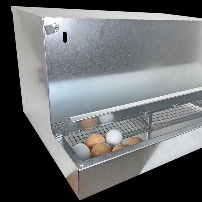 Jaula Galinheiro Exterior galinhas 2 ninhos com escada