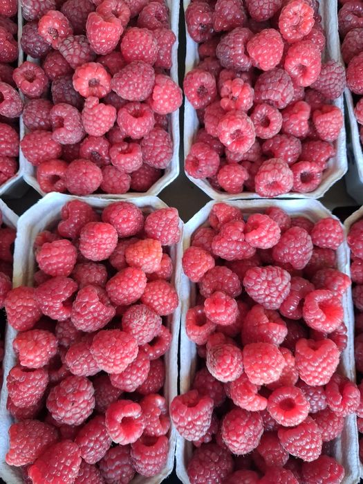 Sprzedam maliny .