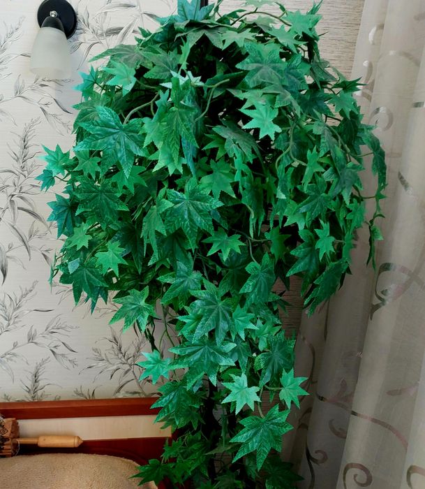 Продам 2 искусственных дерева