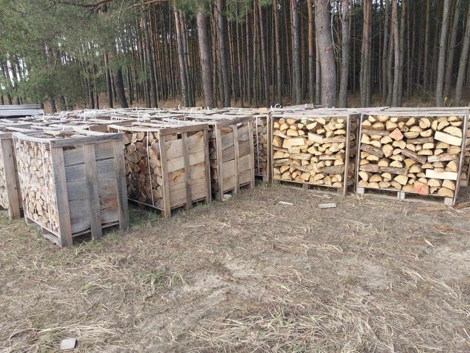 Buk Sezonowany Drewno Opałowe Kominkowe Syców I Okolice