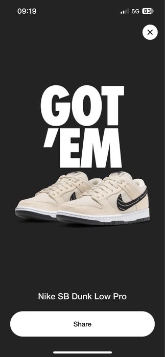 Nike dunk sb low x Albina Preto