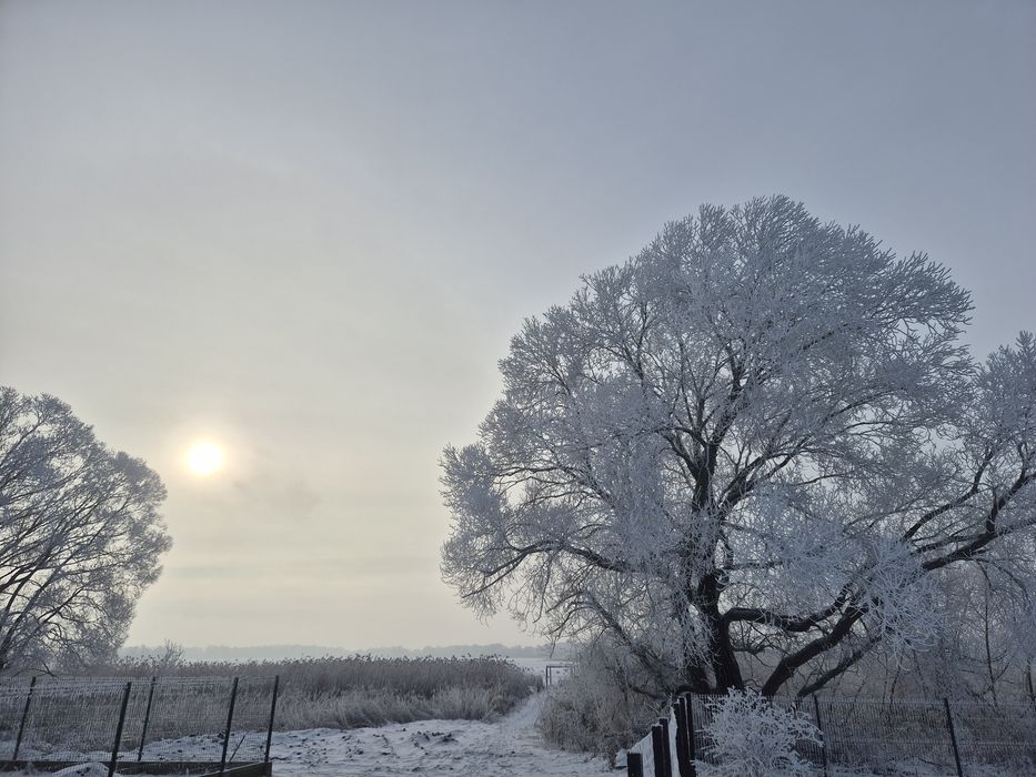 Wydzierżawię działkę nad jeziorem