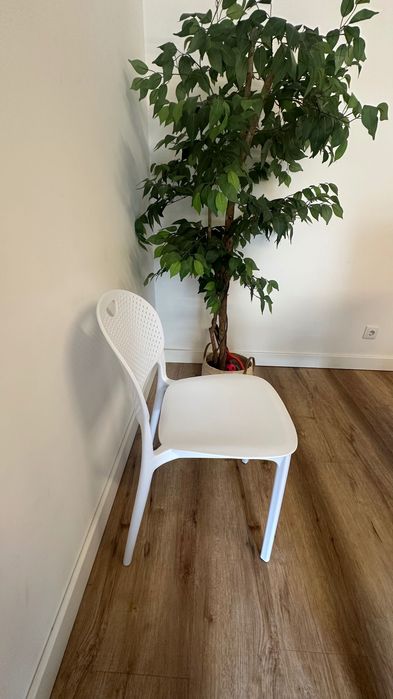 Cadeiras brancas em ótimo estado