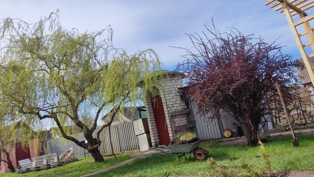 Дачна ділянка з будинком