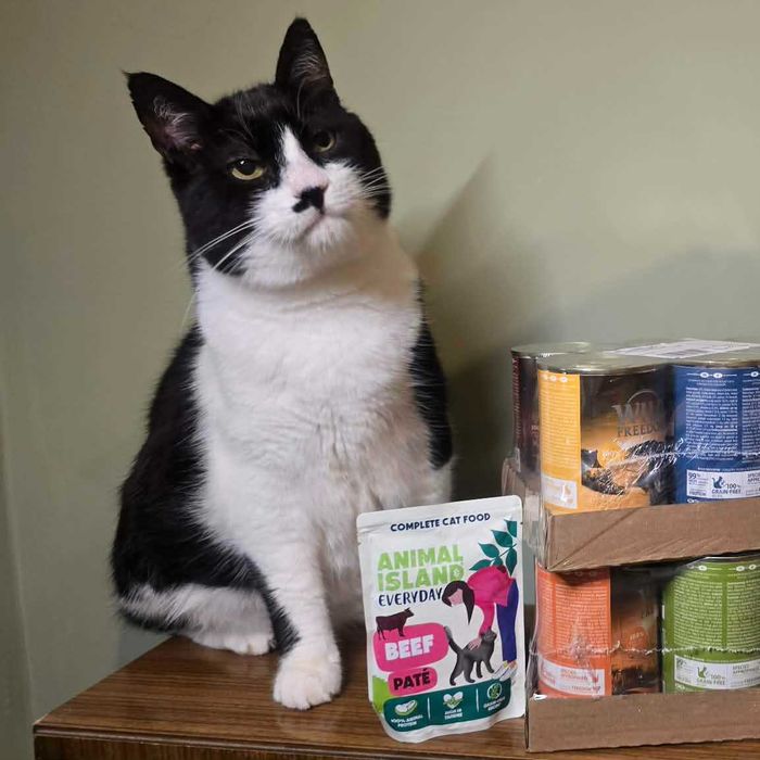 Miluś z Grecji marzy o swoim domu