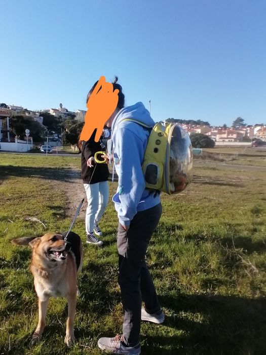 Mochila de passear gato