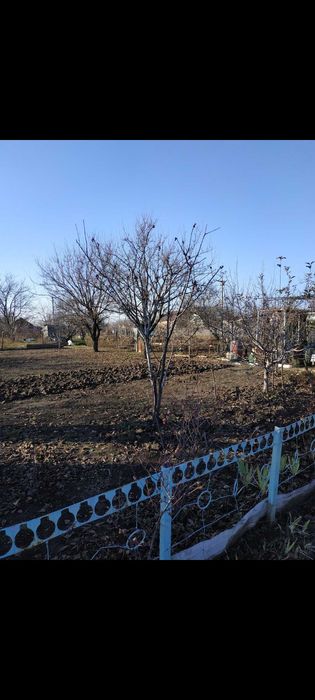 Продам земельну ділянку у СТ Шинник 4