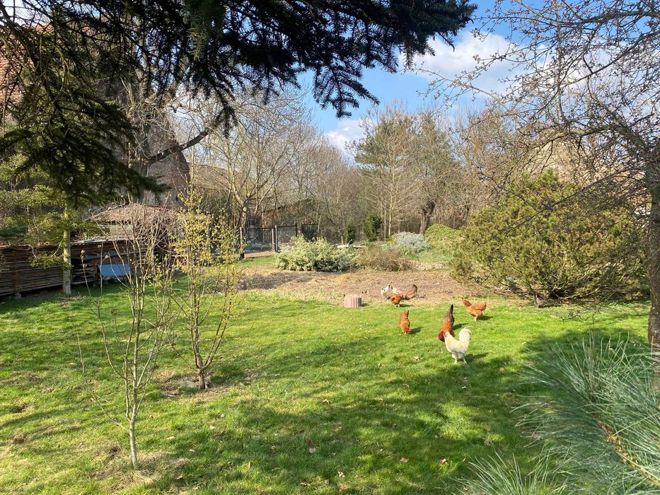 Sprzedam piękny dom, miejscowość Kotowice (gm. Oborniki Śląskie)