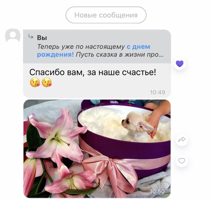 Дівчинка та хлопчик той пуделя