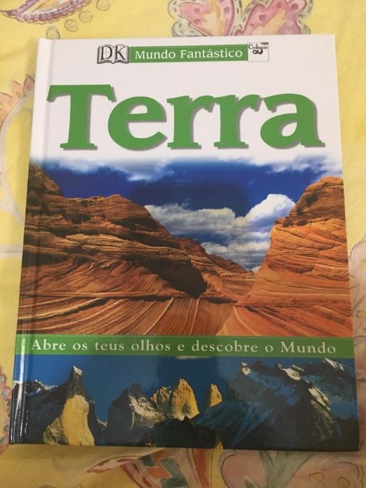 Floresta tropical, baleias e golfinhos, terra, mamíferos