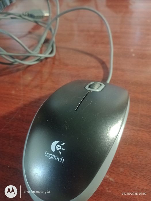 Компьютерные мышки Logitech