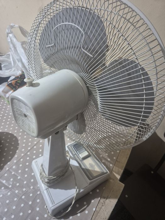 Ventoinha em bom estado