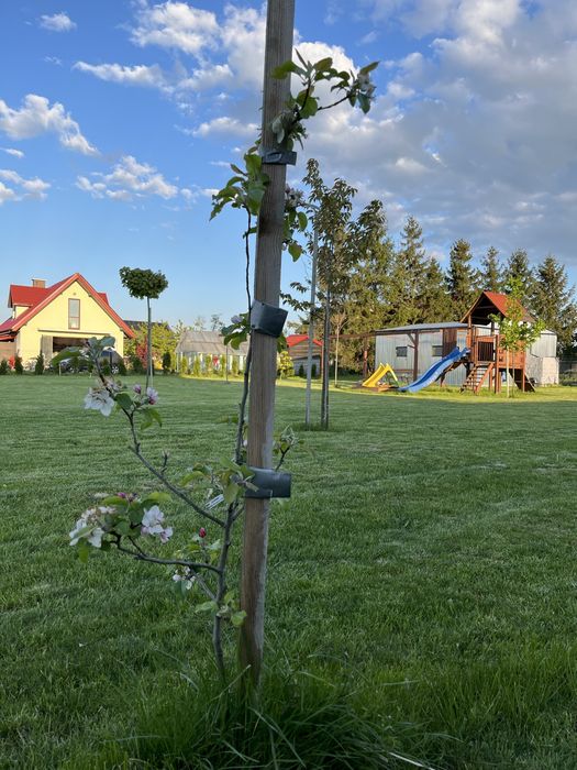 Działka budowlana 16,11 ar, ogrodzona, uzbrojona, Zagrody/Żyrzyn - Widok 3