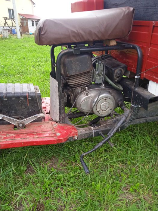 Муравей  з документами все перебране