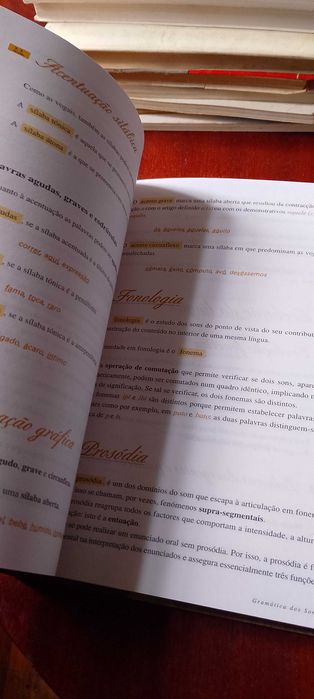 Da Palavra ao Texto - Gramática da Língua Portuguesa