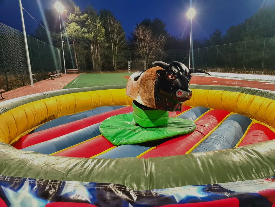 Symulator rodeo. Byk mechaniczny