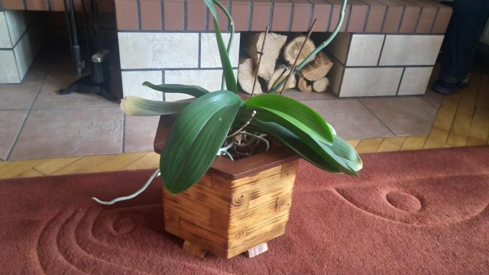 Donica ogrodowa drewniana