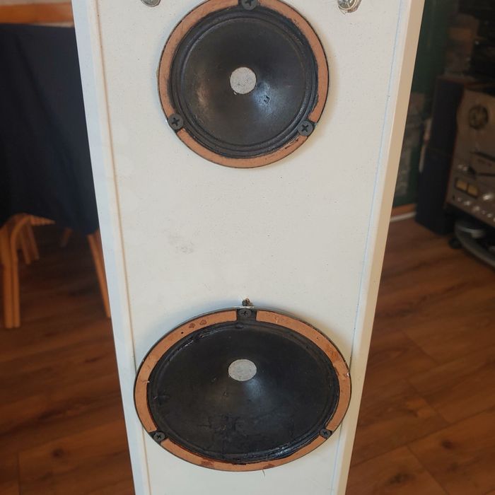 Акустичні системи на широкополосних динаміках від радіоли «Латвия».