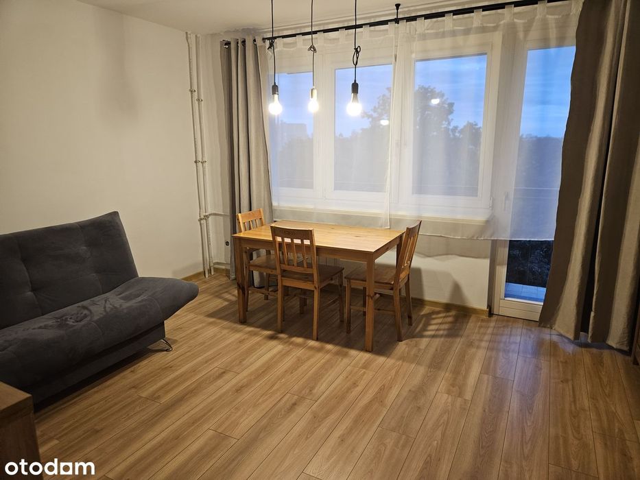 Gotowe dwupokojowe, balkon, zieleń, piwnica, winda