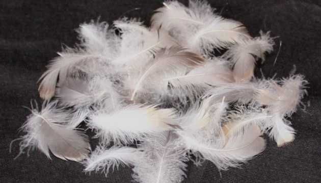 Продам подушки пір'я !  Ціна за 1 кг