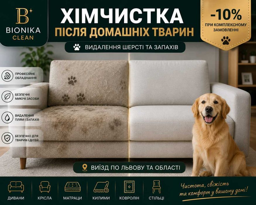 Хімчистка після домашніх тварин Львів | Видалення шерсті та запаху