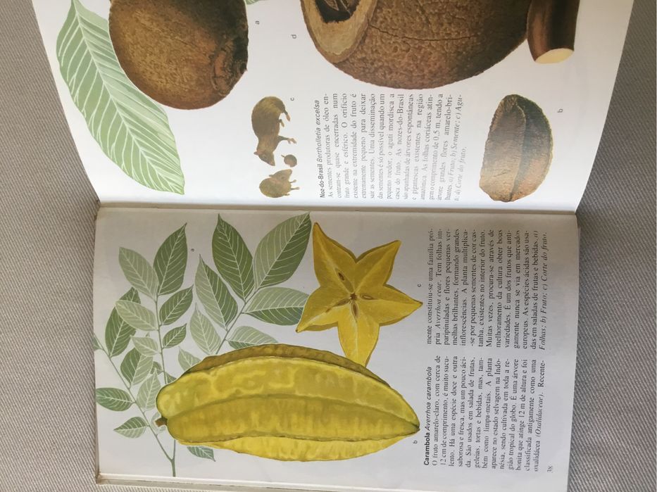 Futos e vegetais: Mediterrâneo e Trópicos. Inclui portes