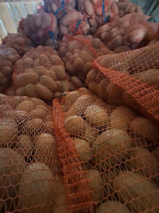 Sprzedam ziemniaki jadalne