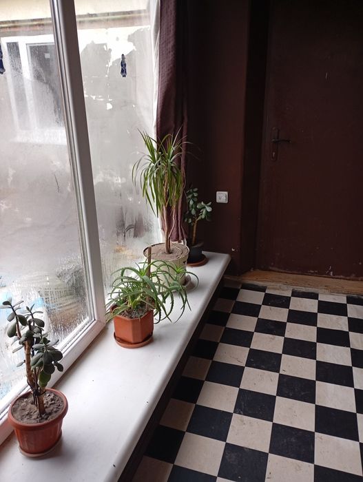 Продам дом Бавария