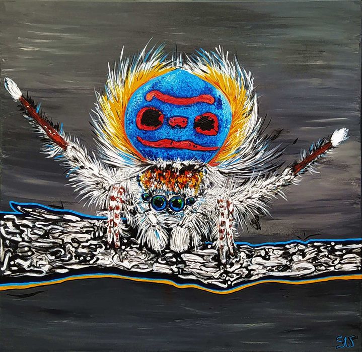 Obraz na ścianę Skakun Maratus speciosus rękodzieło duży 100cm/100cm