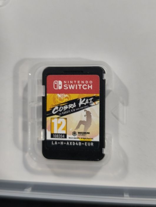 Cobra kai the karate kid saga continues Nintendo switch
