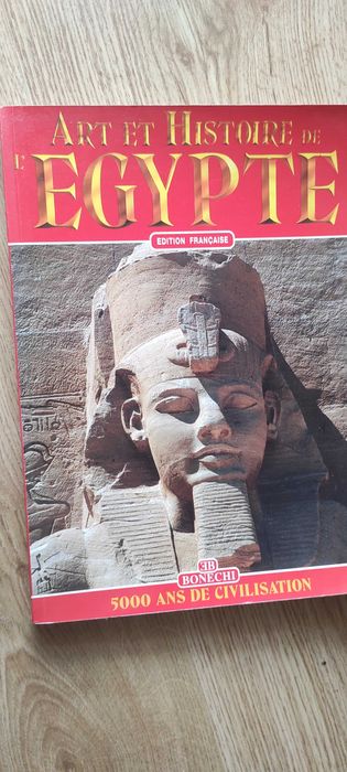 Livro sobre arquitetura de Egipto em Italiano