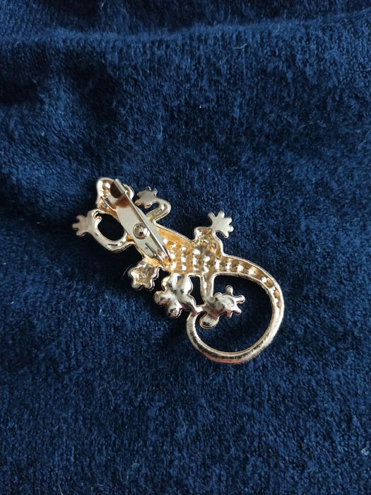 piękna broszka jaszczurka