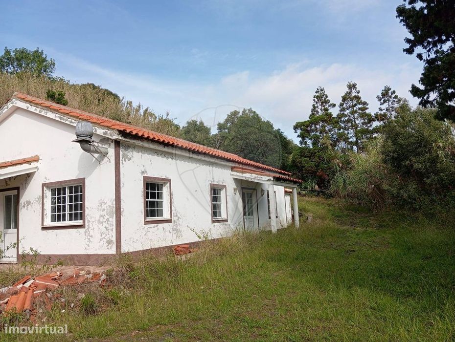 Moradia T3 para venda