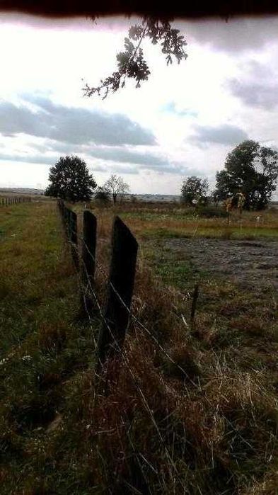 Продаж земельної ділянки (9 сот.) с.Великі Переліски, Львів.обл 13000$